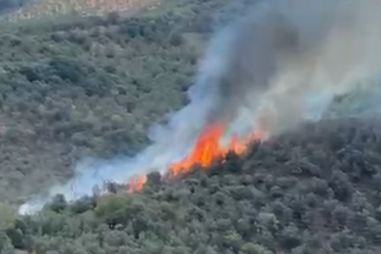 Bursa'nın Mudanya ilçesinde orman yangını başladı. Olay yerine çok sayıda