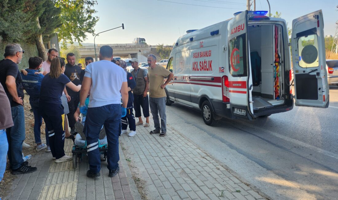 Bursa'nın Orhangazi ilçesinde göl yolu üzerinde meydana gelen trafik kazasında,