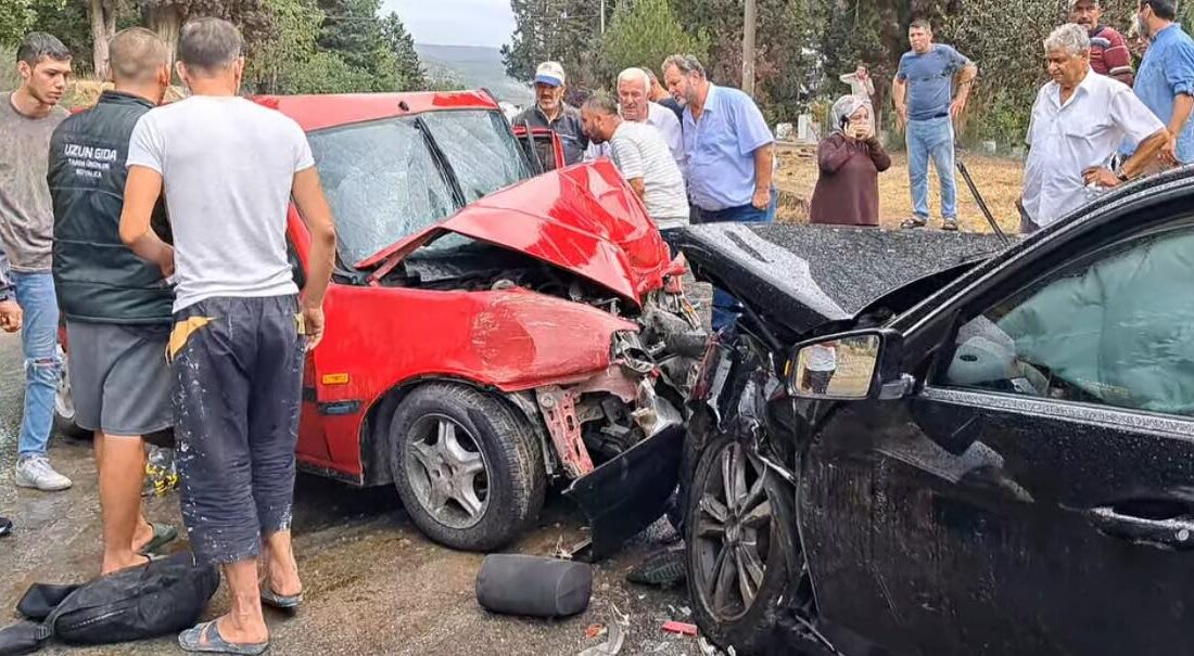 Bursa'da, İznik - Orhangazi yolu üzeri Boyalıca Mahallesi girişinde meydana