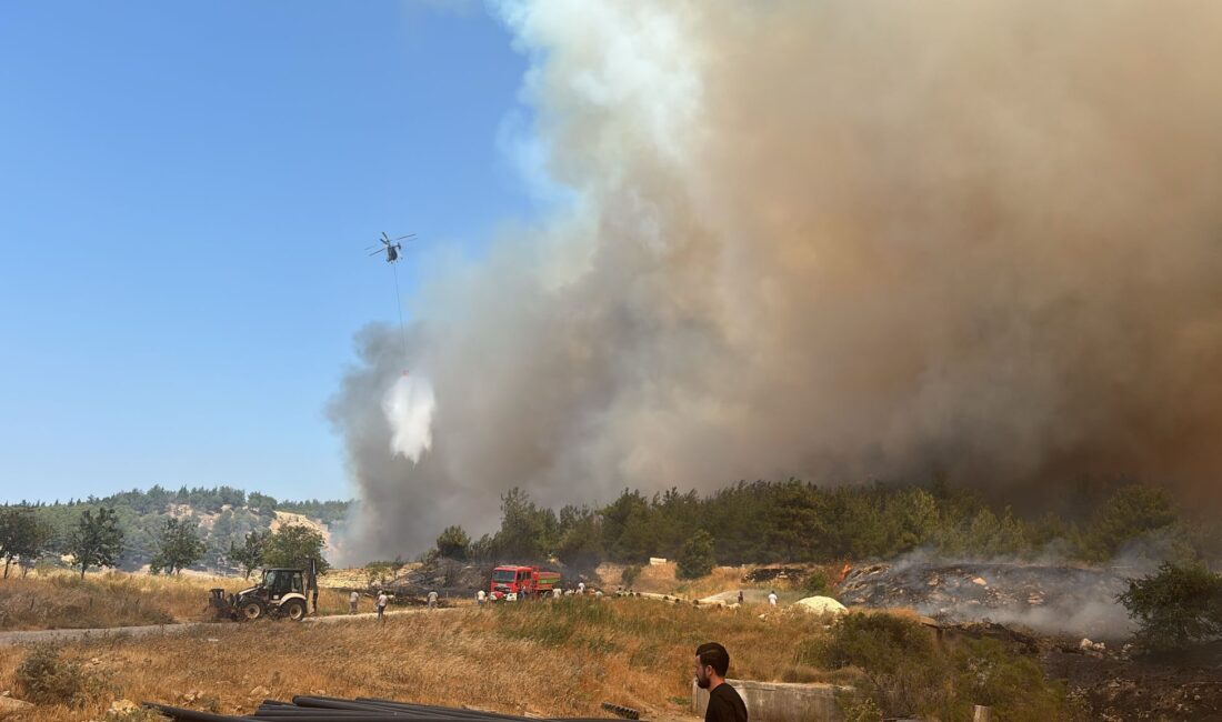 Çanakkale'de, Sarıcaeli köyü yakınlarında bir tarım arazisinde başlayan yangın, kuvvetli