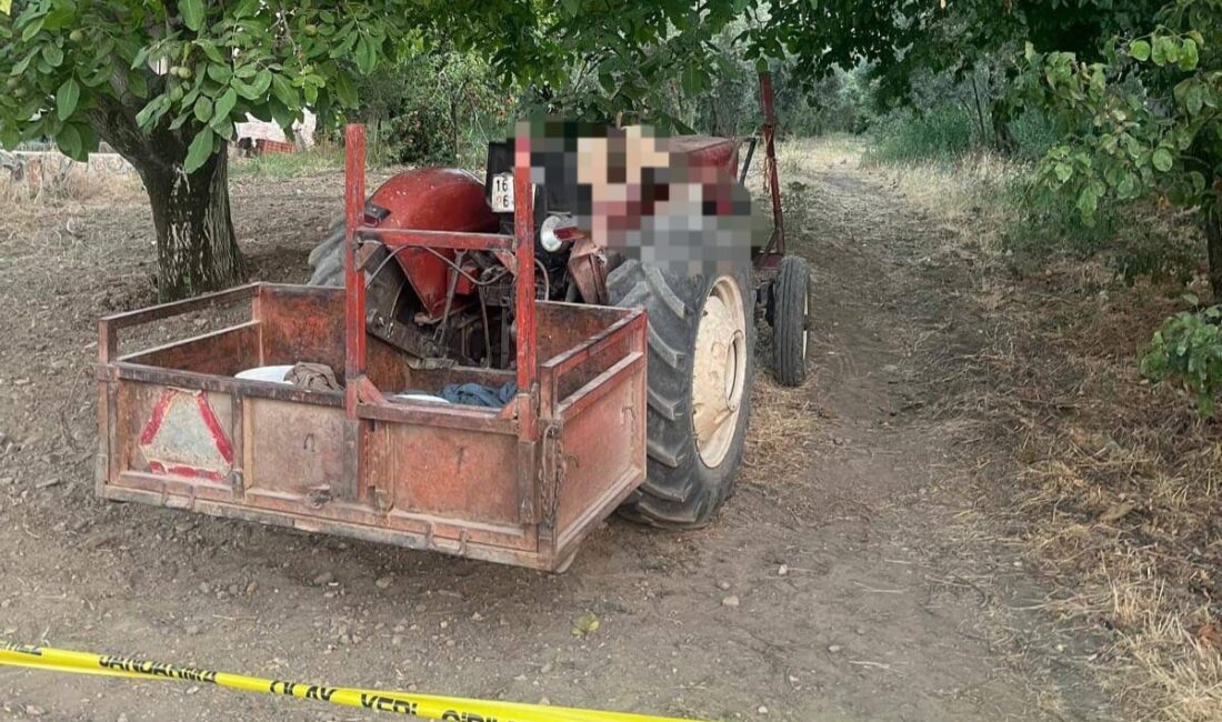 Bursa'nın Orhangazi ilçesine bağlı Narlıca Mahallesi'nde bu akşam saatlerinde bir