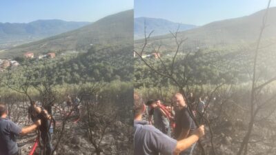 Bursa'nın Orhangazi ilçesinde bugün çıkan orman yangını ekiplerin büyük çabası