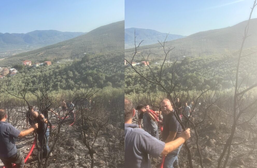 Bursa'nın Orhangazi ilçesinde bugün çıkan orman yangını ekiplerin büyük çabası