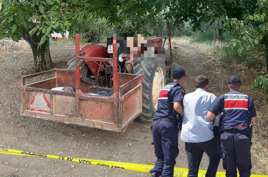 Bursa'nın Orhangazi ilçesi Narlıca Mahallesi'nde dün akşam saatlerinde bir bağ
