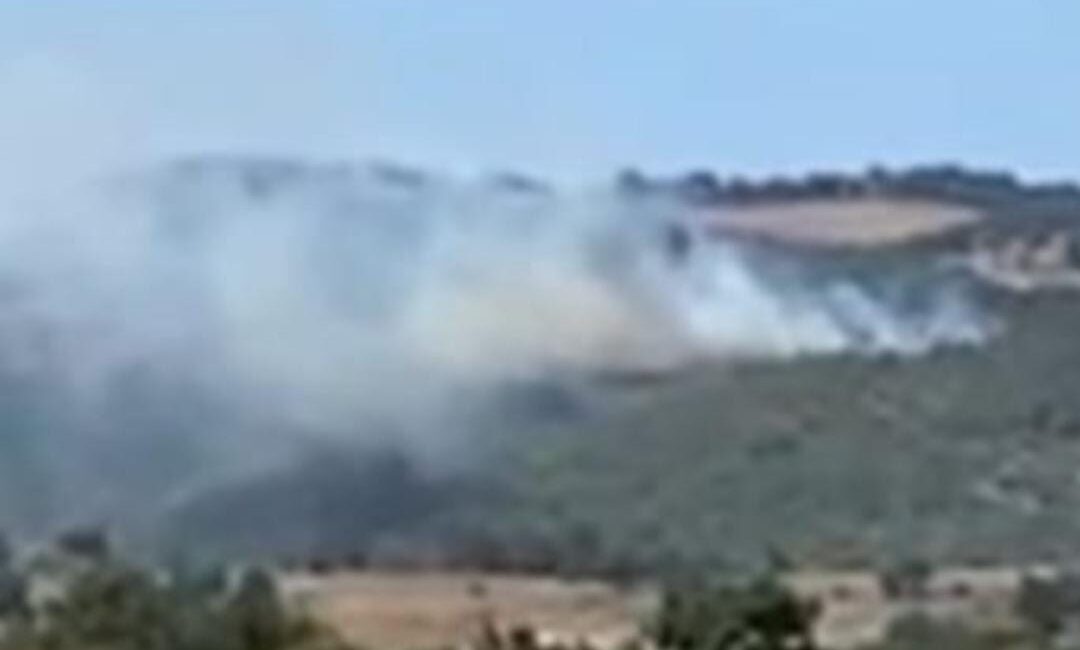 Bursa'nın İznik ilçesinde ormanlık alanda yangın başladı. Rüzgarında etkisiyle yayılmaya