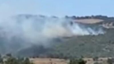 Bursa'nın İznik ilçesinde ormanlık alanda yangın başladı. Rüzgarında etkisiyle yayılmaya