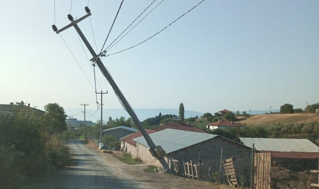 Bursa'nın Orhangazi ilçesine bağlı Ortaköy Mahallesi içinde yol üzerinde bulunan