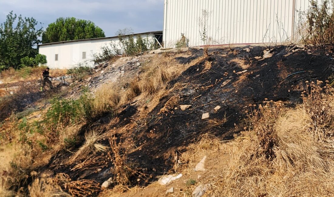 Bursa'nın Orhangazi ilçesinde bir deponun içinde bulunduğu otluk alanda yangın