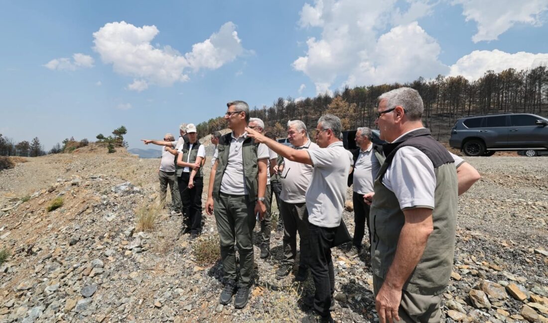 Bursa'nın Kestel-Gürsu ile Harmancık İlçelerinde çıkan orman yangınları ile ilgili