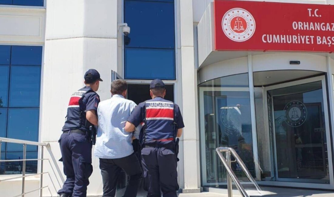 Bursa'nın Orhangazi ilçesine bağlı Narlıca Mahallesi'nde dün akşam saatlerinde meydana
