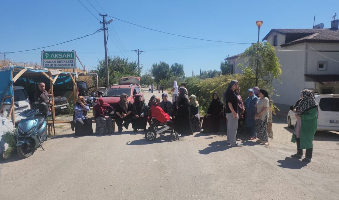 Bursa'nın Orhangazi ilçesinde, bir sokak üzerinden sürekli geçen tırlardan güvenlik