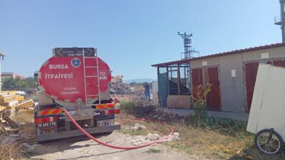 Bursa'nın Orhangazi ilçesinde, Marzim Tesisleri'nin hemen yanında bulunan otluk alanda