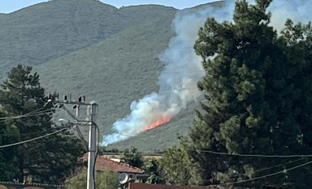 Bursa'nın Orhangazi ilçesinde geçtiğimiz hafta Orman yangını çıkan Gedelek Mahallesi'nin