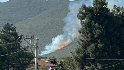 Bursa'nın Orhangazi ilçesinde geçtiğimiz hafta Orman yangını çıkan Gedelek Mahallesi'nin