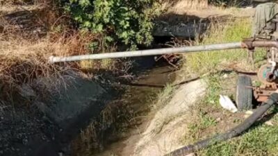 Bursa son yılların en kurak dönemini geçirirken hasat zamanı yaklaşan