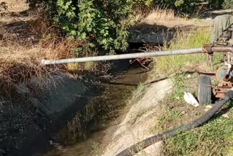 Bursa son yılların en kurak dönemini geçirirken hasat zamanı yaklaşan