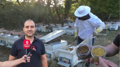 Son yıllarda ortaya çıkan sağlıklı beslenme önerileri ile birlikte, doğanın