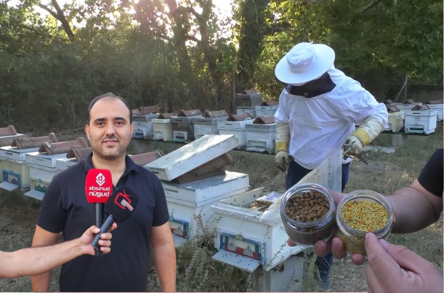 Son yıllarda ortaya çıkan sağlıklı beslenme önerileri ile birlikte, doğanın