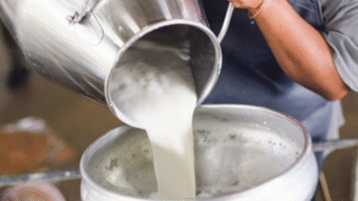 Türkiye’de hayvancılığın bel kemiği olan süt üreticisi, aylardır beklediği fiyat