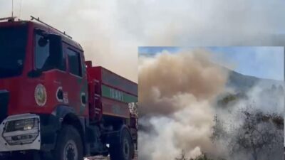 Bursa'nın Orhangazi ilçesinde bugün öğle saatlerinde ormanlık alana yakın bir