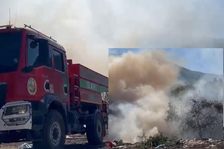 Bursa'nın Orhangazi ilçesinde bugün öğle saatlerinde ormanlık alana yakın bir