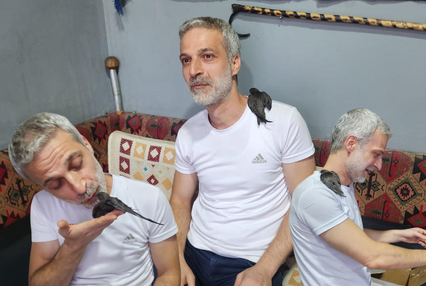 Bursa'nın Orhangazi ilçesinde nesli tükenme tehlikesi altında olan Ebabil kuşu
