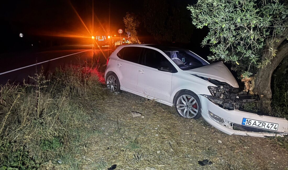 Bursa'da, Orhangazi - İznik karayolu üzerinde meydana gelen trafik kazasında,