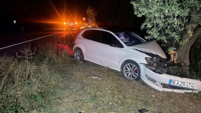 Bursa'da, Orhangazi - İznik karayolu üzerinde meydana gelen trafik kazasında,