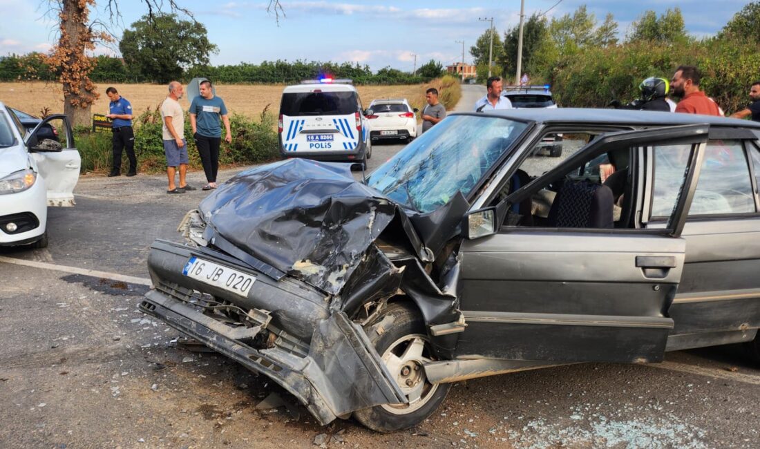 Bursa'nın Orhangazi ilçesinde Yeniköy yolu üzerinde meydana gelen trafik kazasında,