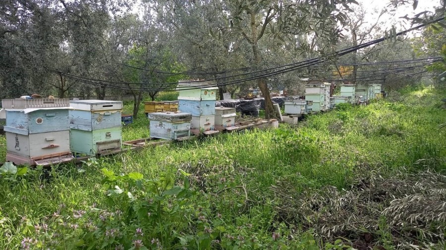 Bursa'nın Orhangazi ilçesinde, Desteklemelerin doğru yapılması amacıyla ilçe genelinde arıcıların