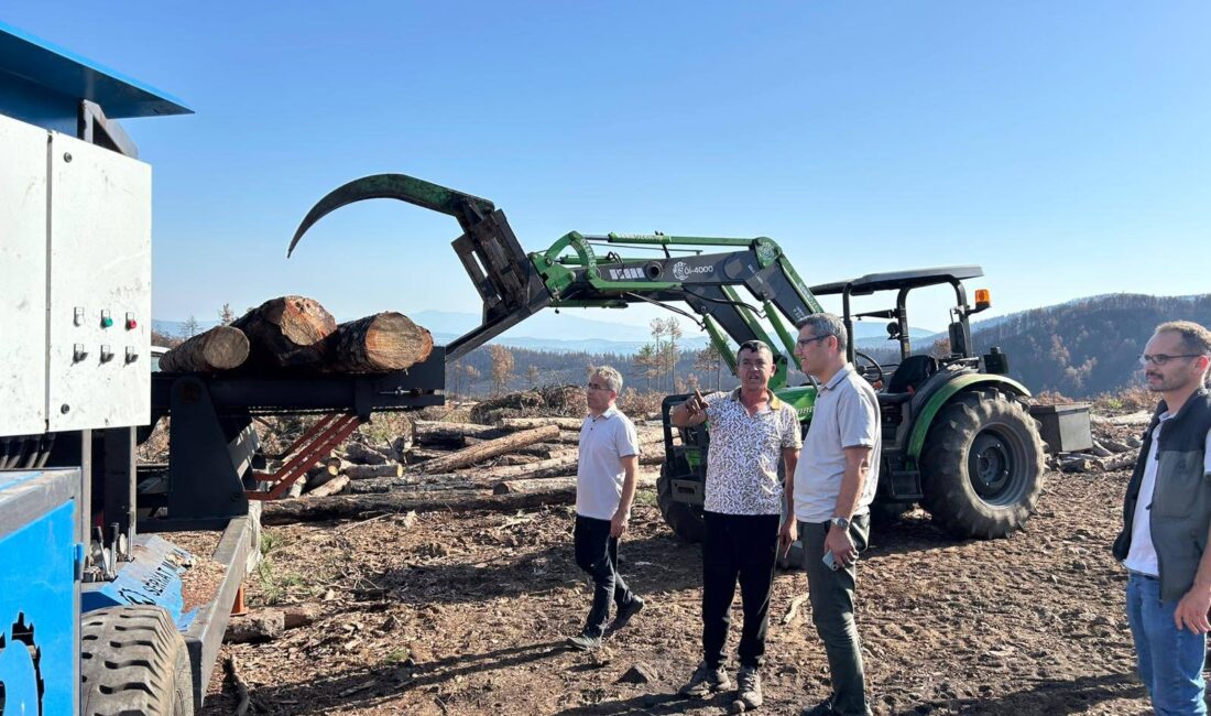 Bursa Orman Bölge Müdürü Erdal Şahan, Orhaneli'de meydana gelen orman