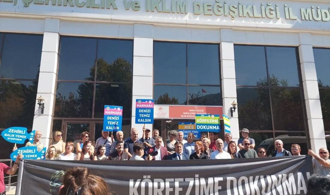 Gemlik Körfezi’nde faaliyet gösteren Marmara Kimya Sanayi’nin (MKS), Çevresel Etki