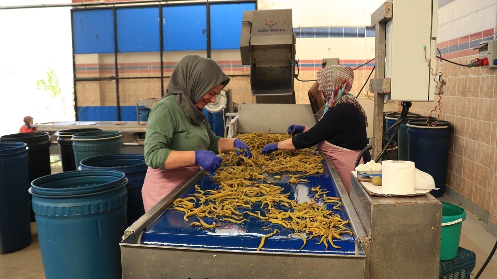 Bursa’da en fazla üretiminin yapıldığı Türkiye’nin önemli Turşu üretim merkezlerinden