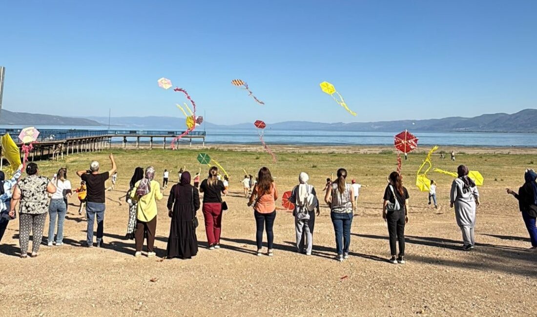 Bursa'nın Orhangazi ilçesinde Ali tekin ilkokulu 4/A öğrencileri uçurtma şenliklerinde