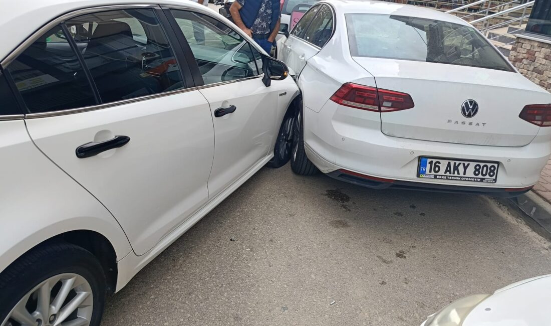 Bursa'nın Orhangazi ilçesinde meydana gelen trafik kazasında, bir otomobil park