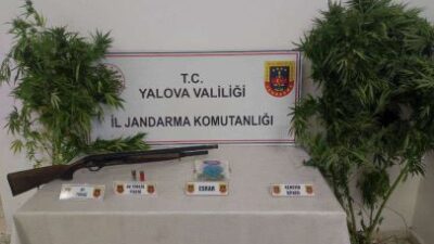 Yalova İl Jandarma Komutanlığı ekipleri, uyuşturucu madde imal ve ticareti