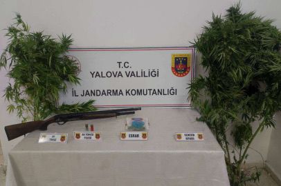 Yalova İl Jandarma Komutanlığı ekipleri, uyuşturucu madde imal ve ticareti