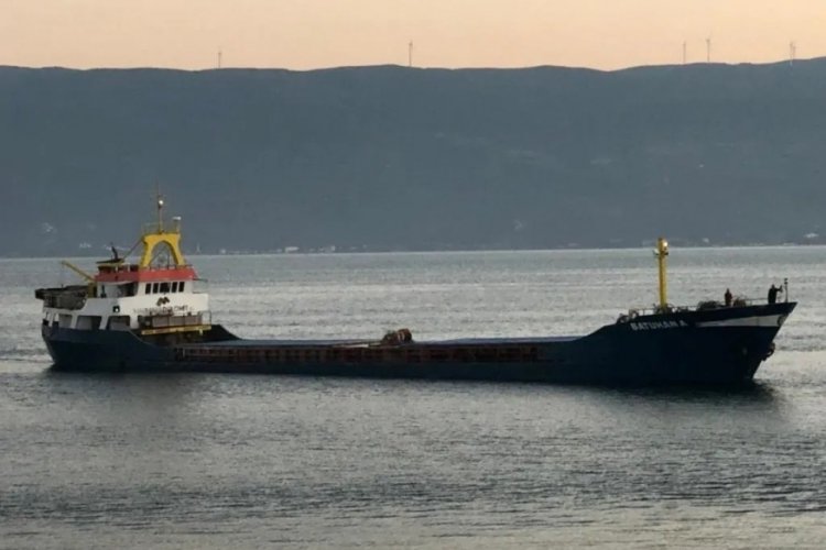 Bursa’nın Karacabey ilçesi açıklarında, İmralı Adası’nın güneybatısında geçen yıl  15