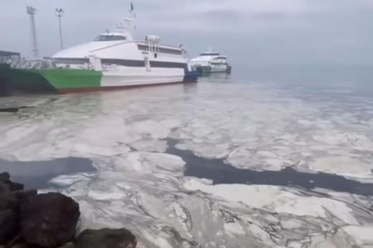 Tarım ve Orman Bakanlığı, Marmara Denizi’ni etkisi altına alan müsilaj'dan