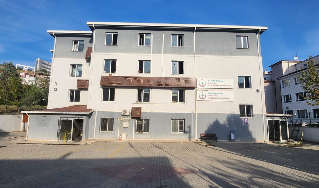 Bursa'nın Orhangazi ilçesinde meydana gelen olayda, eski Devlet Hastanesi binasında