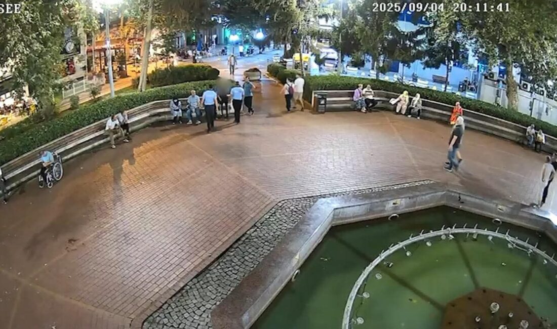 Yalova Belediyesi  Zabıta Amirliği ekipleri, kentin temizliğini ve halk sağlığını