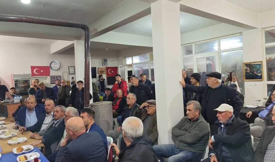 Bursa Çimento Fabrikası’nın Bursa'nın Gemlik ilçesine bağlı  Fevziye köyü sınırında,