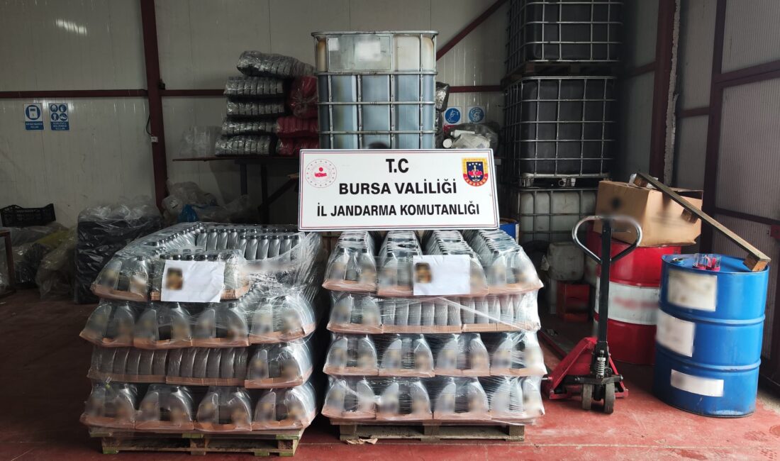 Bursa İl Jandarma Komutanlığı ekipleri, Mudanya ilçesi Çekrice Mahallesi'nde bir