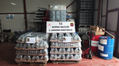 Bursa İl Jandarma Komutanlığı ekipleri, Mudanya ilçesi Çekrice Mahallesi'nde bir