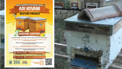 Bursa Büyükşehir Belediyesi, arıcılara yönelik başlattığı proje kapsamında yangında zarar