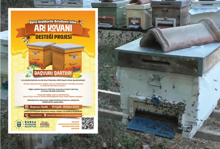 Bursa Büyükşehir Belediyesi, arıcılara yönelik başlattığı proje kapsamında yangında zarar
