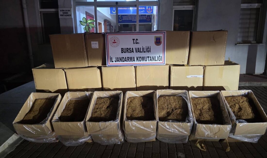  Bursa İl Jandarma Komutanlığı ekipleri, Osmangazi ilçesinde gerçekleştirdiği  bir operasyonla