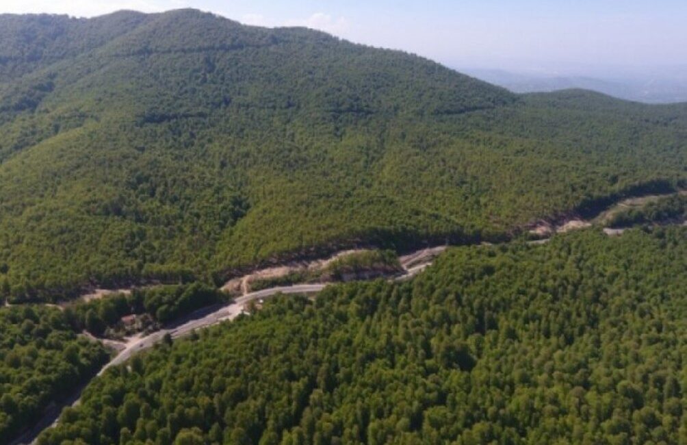 Bursa'da yaz aylarında gerçekleşen orman yangınları nedeniyle, Bursa il sınırları