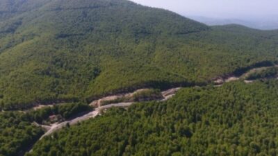 Bursa'da yaz aylarında gerçekleşen orman yangınları nedeniyle, Bursa il sınırları