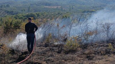 Bursa'nın Orhangazi ilçesinde çalılık bir alanda çıkan yangın, Orman işletme